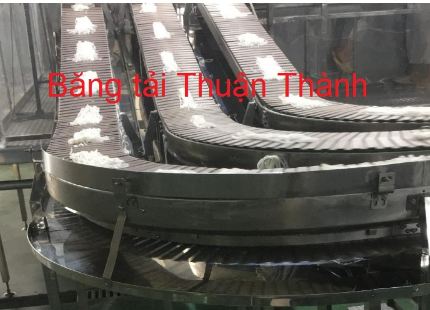 Băng tải xích - Băng Tải Thuận Thành - Công Ty Cổ Phần Thiết Bị Công Nghiệp Thuận Thành
